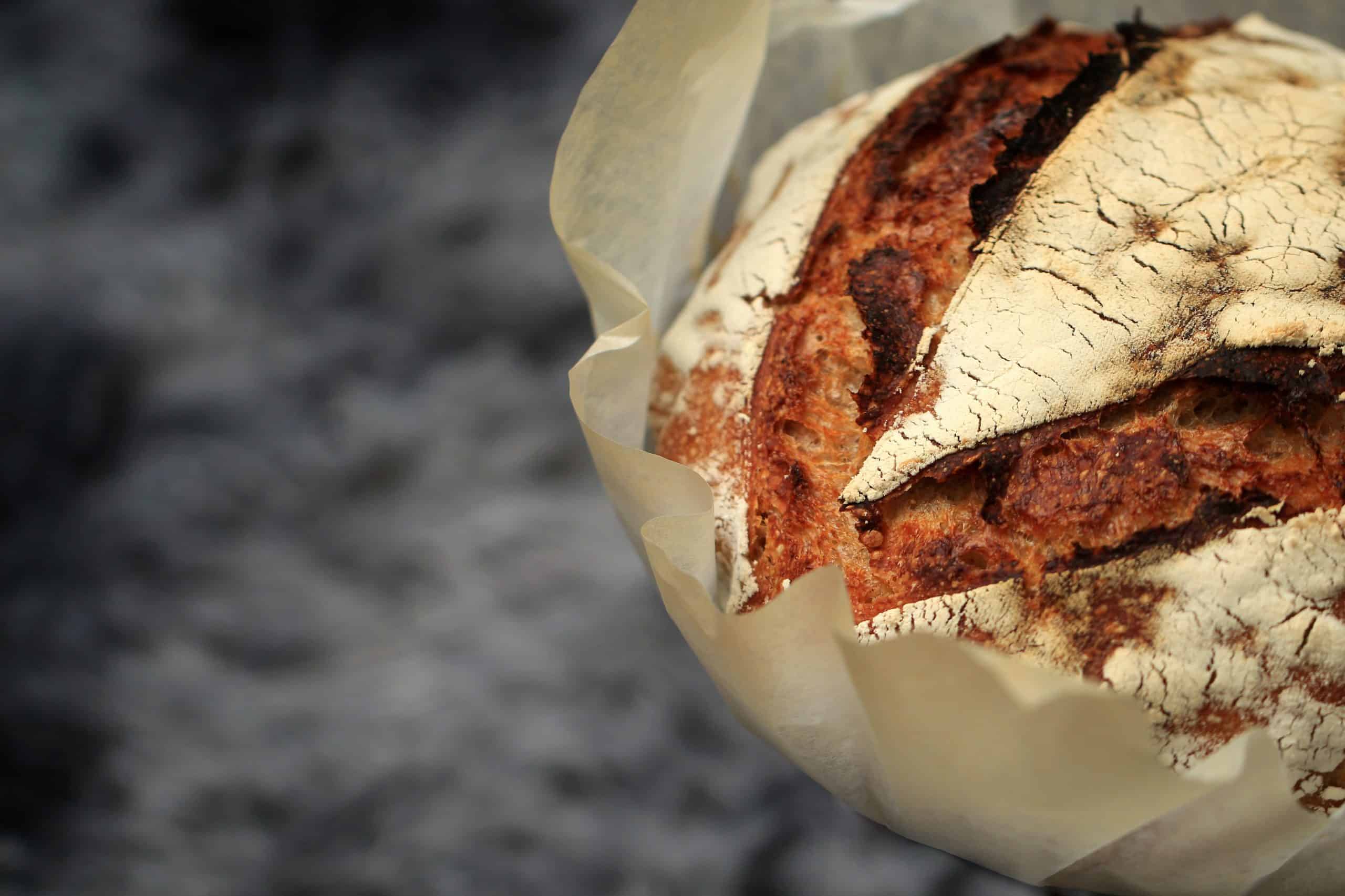 Sourdough has taken the country by a storm. In the last year, it’s become a national obsession.