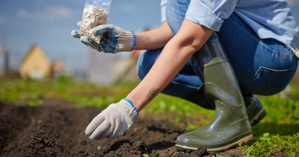 Can Your Landscaping Help You Live a Healthier Lifestyle?