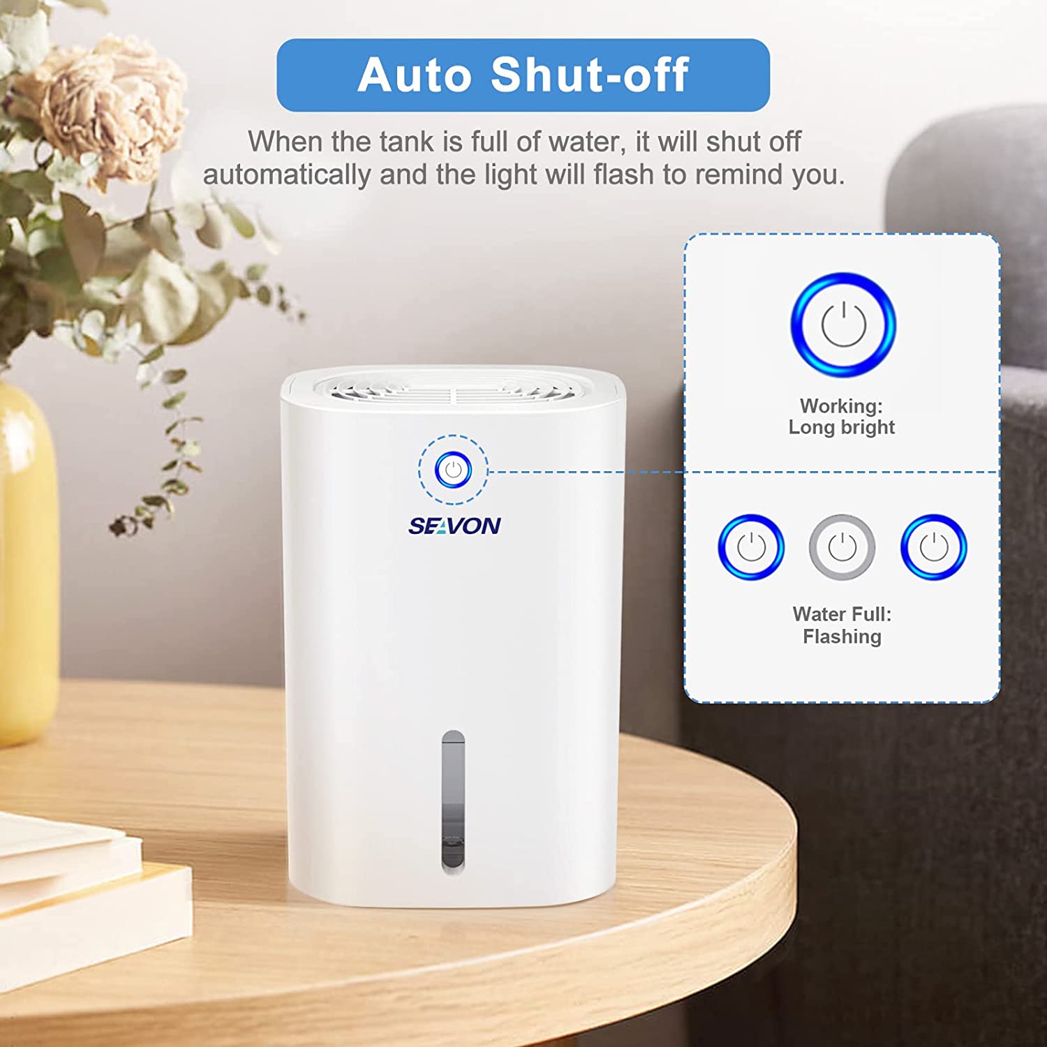 Best Small Dehumidifier for Bathroom