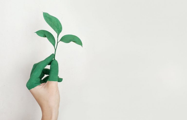 How To Embrace Eco-Friendly Living