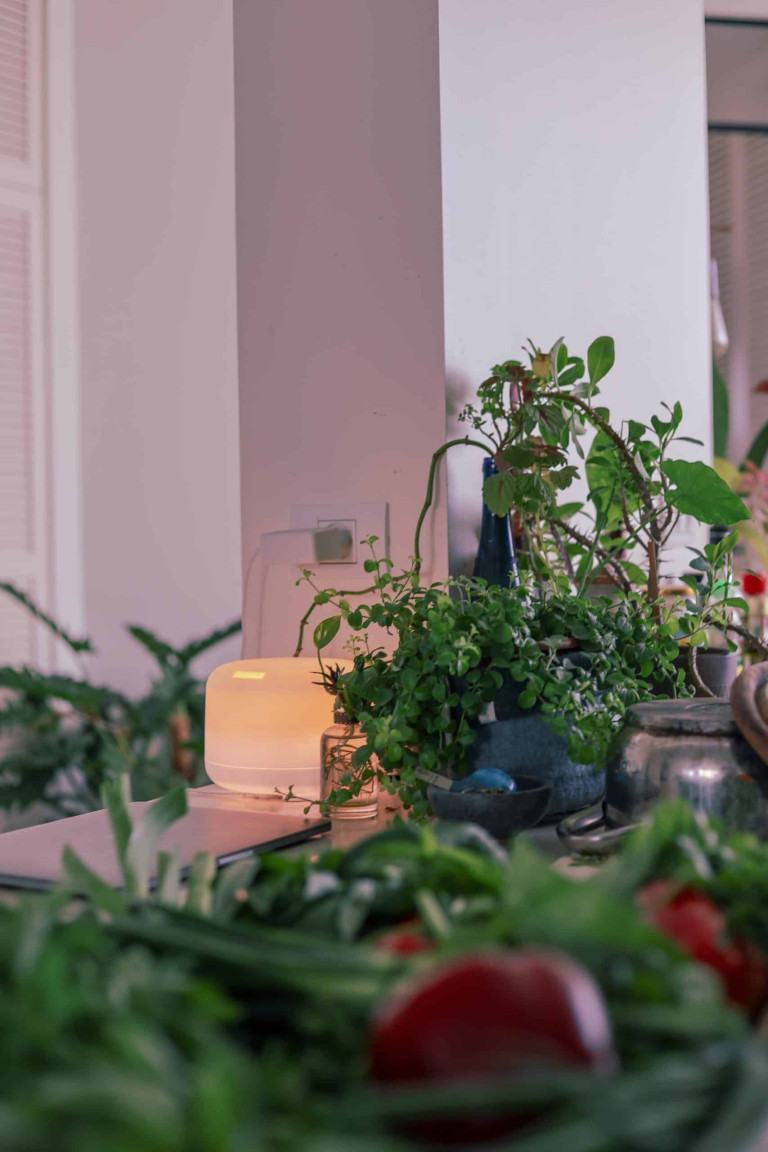 Negative Ion Generators: A Tool for Mental Well-being?