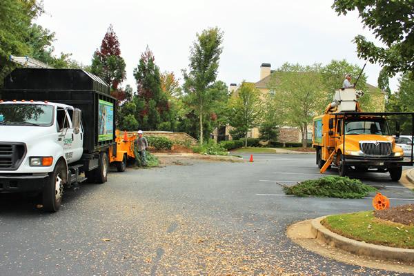Trees are beautiful and valuable additions to our landscapes, but sometimes they become a safety hazard or pose a threat to property. Knowing when to call a professional tree service in Buford for emergency tree removal is crucial to preventing damage and ensuring everyone's safety.