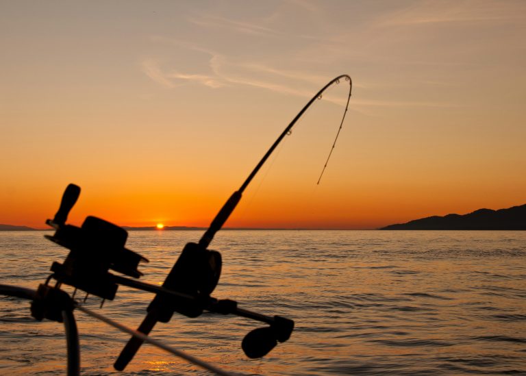 How to Pick the Best Fishing Charter for an Unforgettable Experience