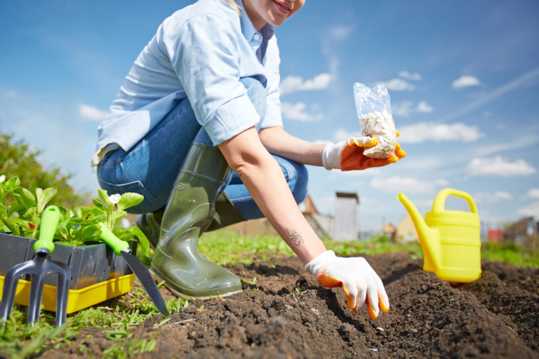 Save Money and Reduce Waste by Starting a Home Garden