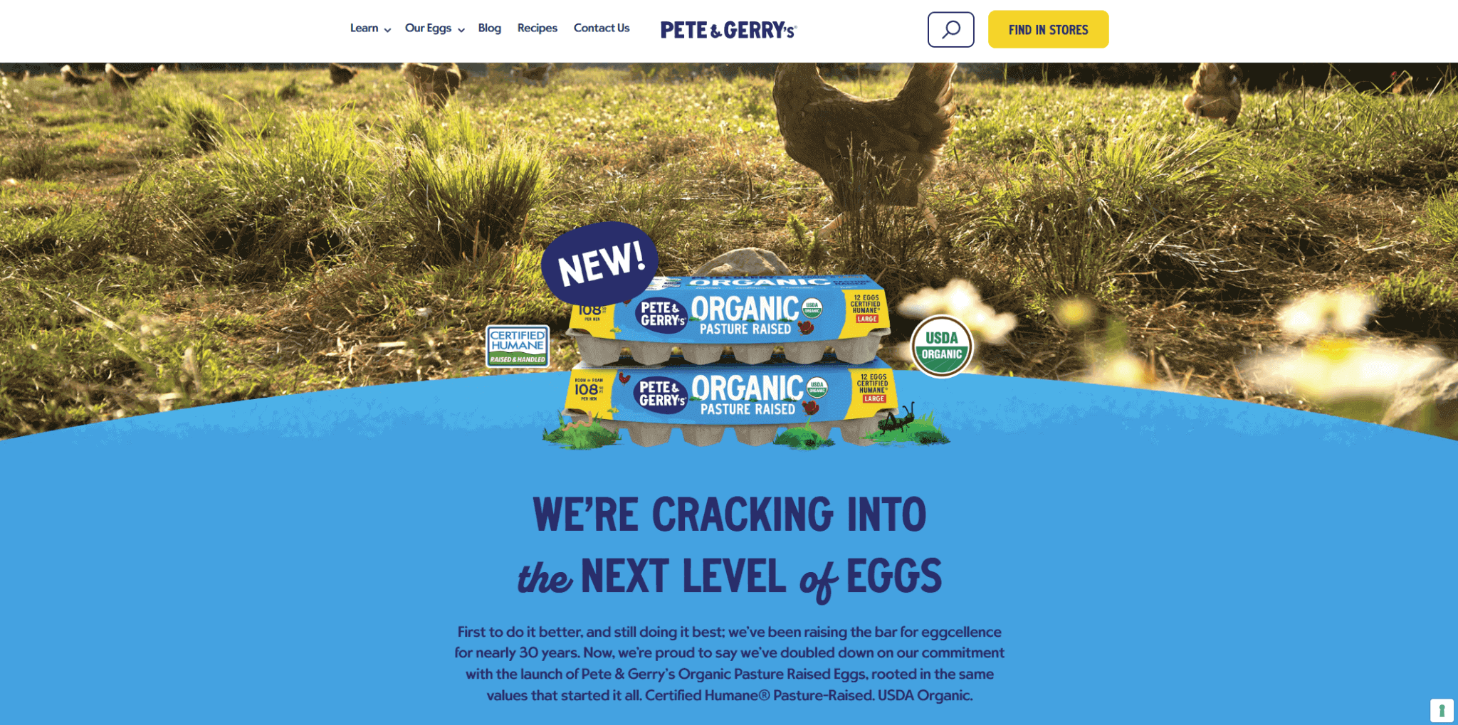 Eggs sourced ethically are a priority for many shoppers, especially those who care about animal welfare and responsible food systems. When customers shop for healthy food, such as eggs, they want reassurance that the choices they make align with the values they can support. Retailers build that trust by checking the responsible sourcing of their products.