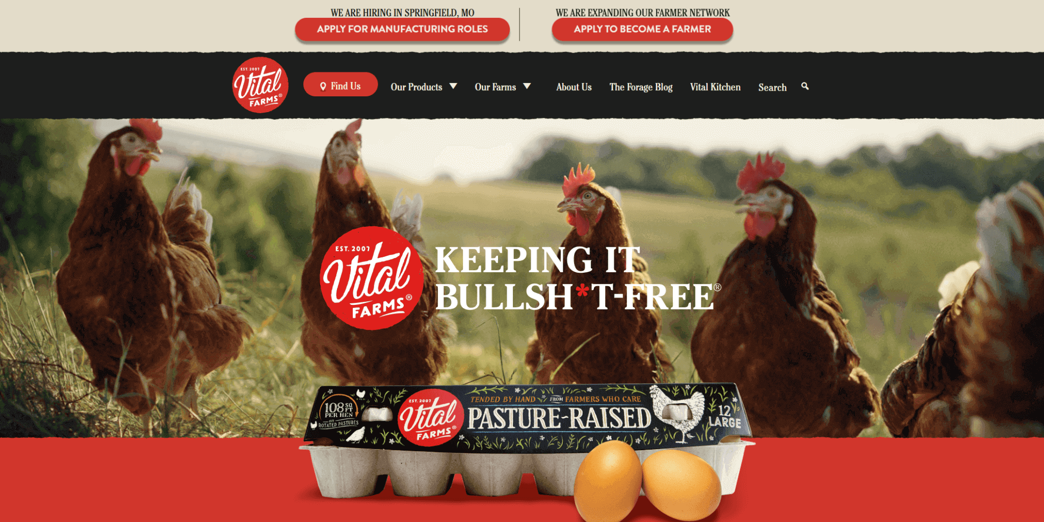Chickens next to eggs carton representing ethical sourcing