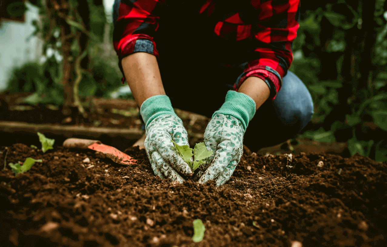 mindful gardening