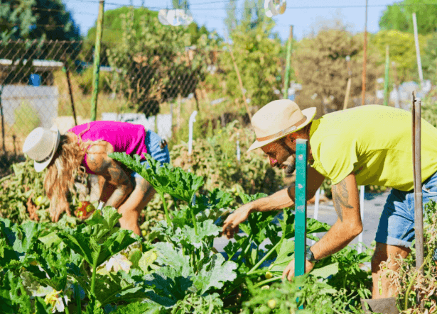 America's garden revolution