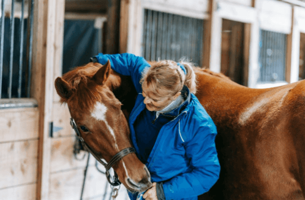 Equine Therapy