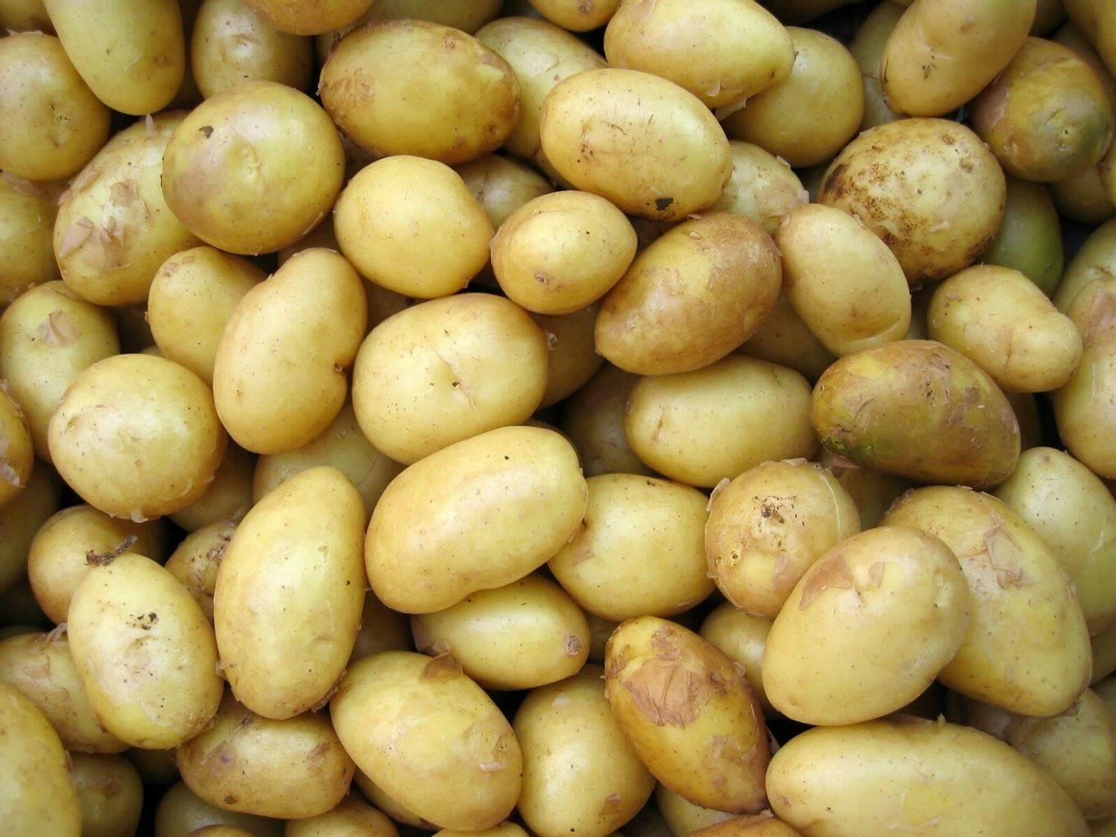 Fresh potatoes perfect for microwave cooking