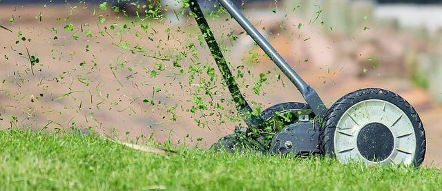 Lawn mower cutting grass in a