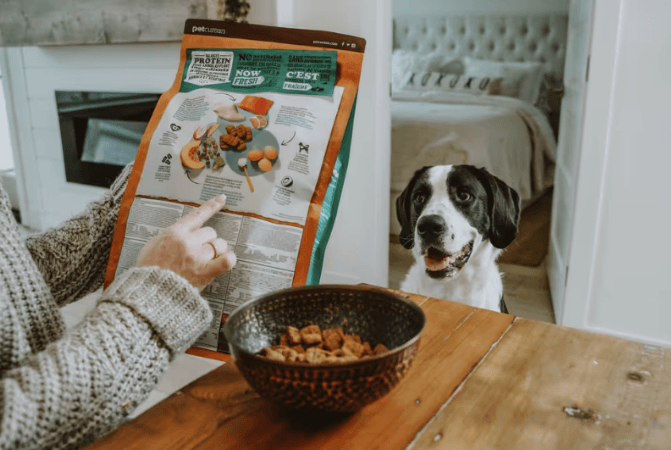 fresh dog food