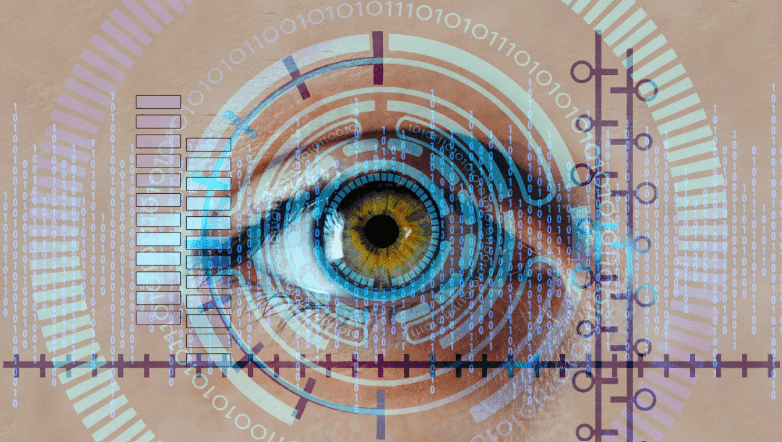 Biometric Travel