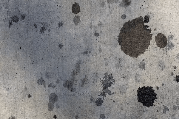 What Are the Warning Signs of Mold in Your HVAC System? Kelly Bejelly Black and white photo of a cement wall