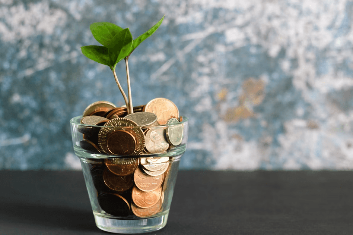 Glass vase with coins and a plant for financing