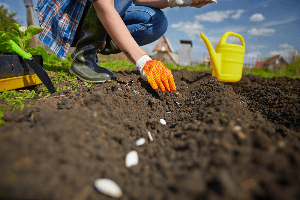 Gardening /Support A Cleaner Lifestyle