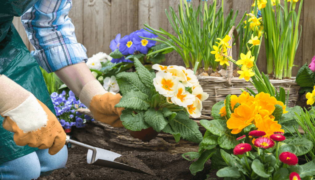 How Gardening Can Support A Cleaner Lifestyle