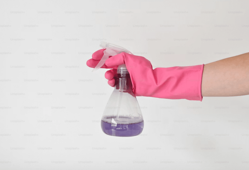 Simple Habits That Keep Pests Out of a Busy Household Kelly Bejelly Keep Pests Out of a Busy Household