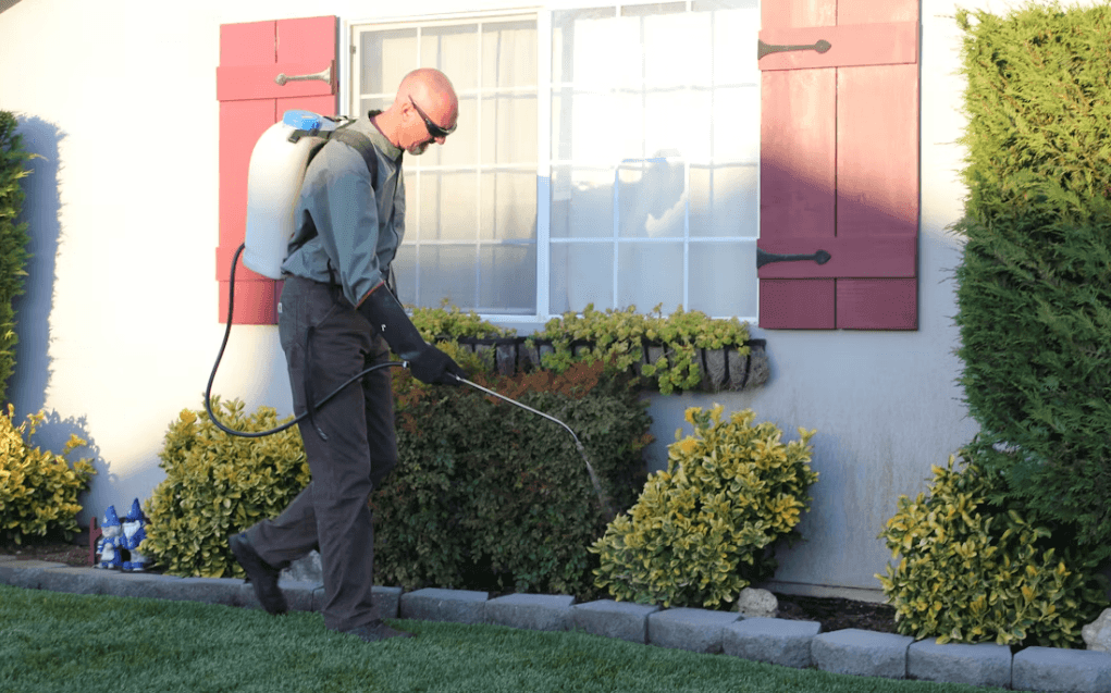 Preventative Pest Management