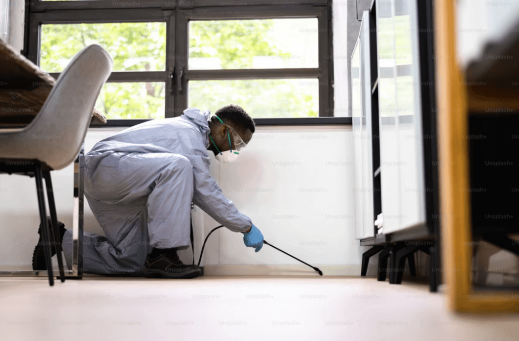 Rise of Preventative Pest Management