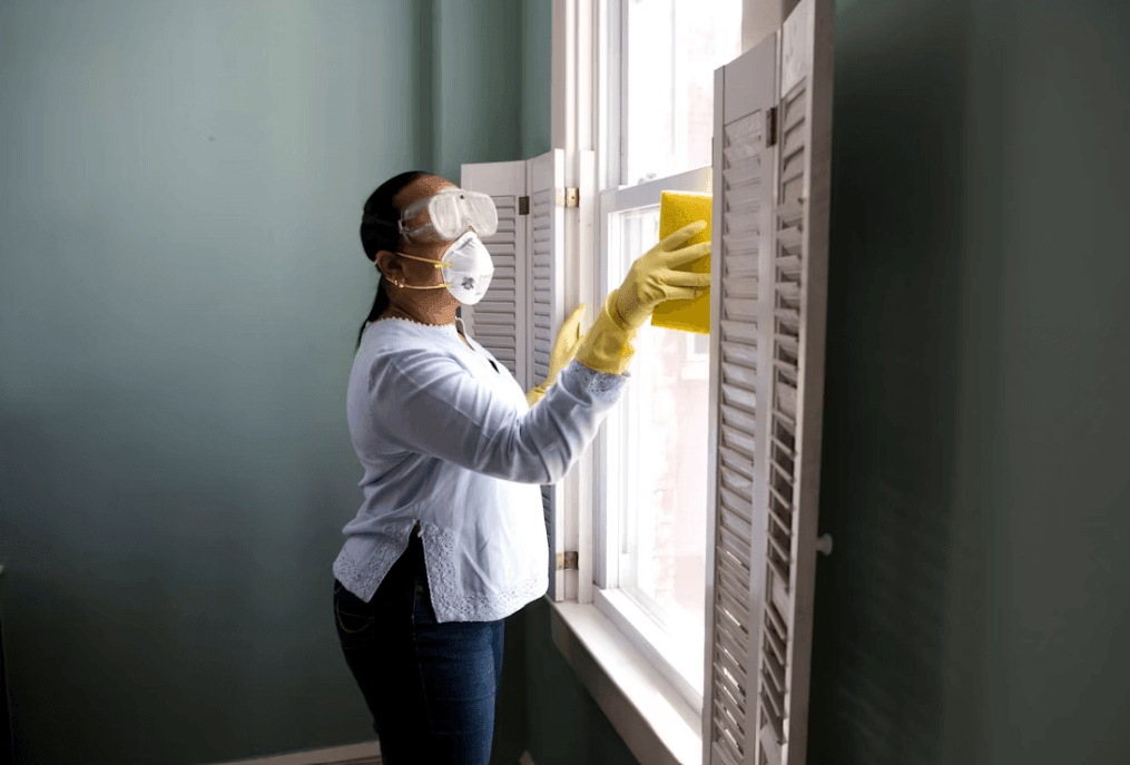Simple Habits That Keep Pests Out of a Busy Household