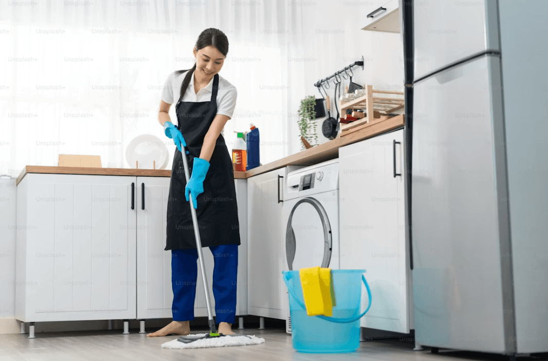 Simple Habits That Keep Pests Out of a Busy Household Kelly Bejelly Simple Habits That Keep Pests Out