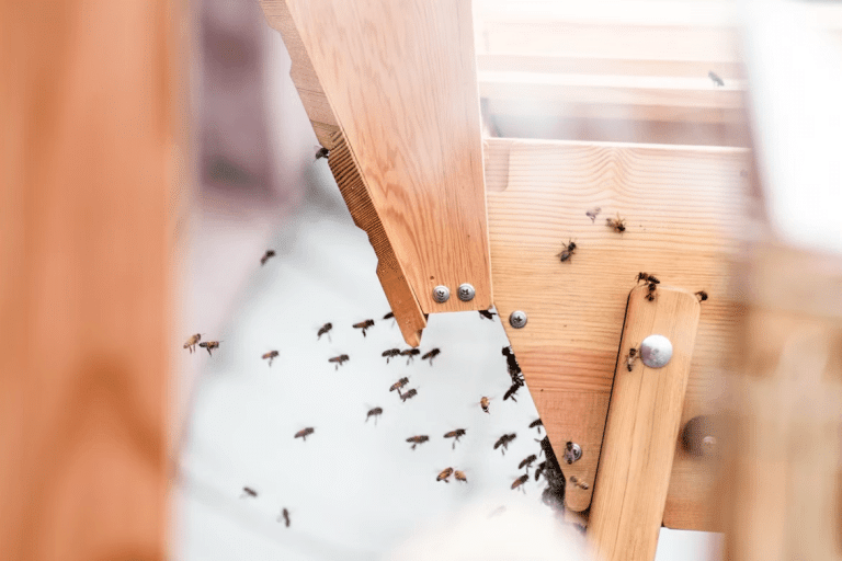 Bees crawling on a wooden structure, relating to