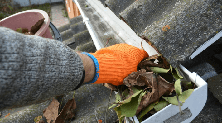 Cleaning Gutters
