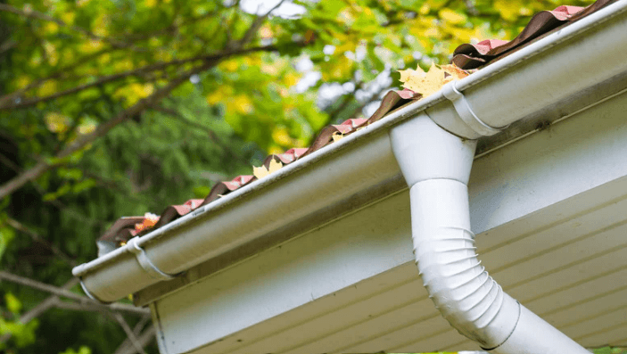 roof and gutter