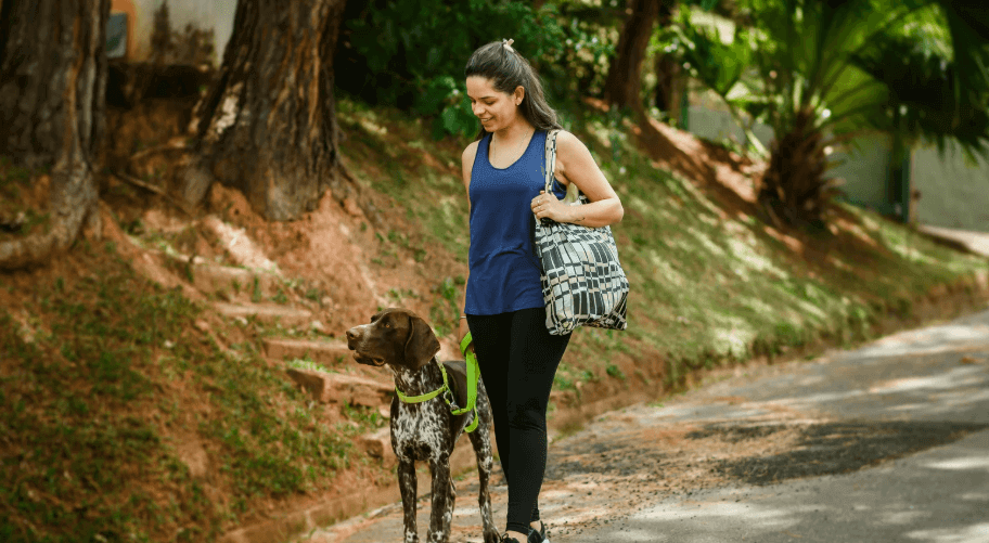 Take a walk with your dog