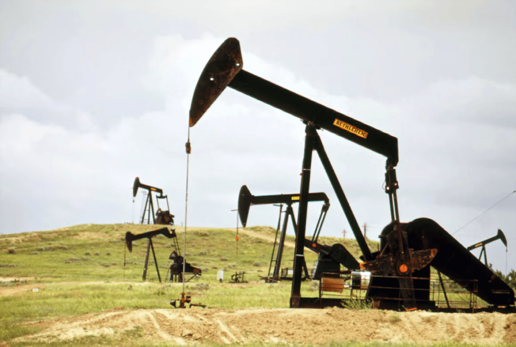 A group of oil pumps in a green field