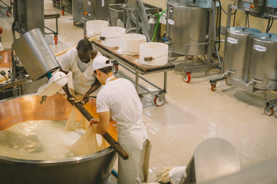 Cheese Curds for Home Cooks: Squeak, Freshness, Recipes Kelly Bejelly a group of people working in a factory