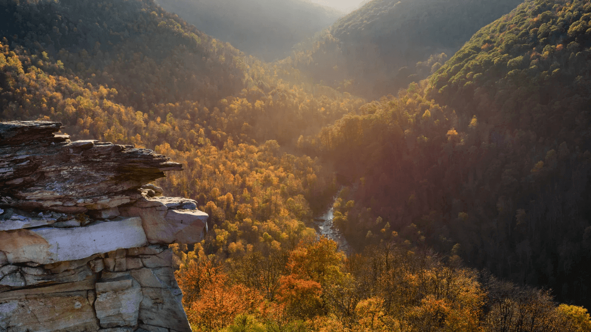 A Relaxing Weekend Getaway: Good Food, Quiet Views, and Room to Unwind