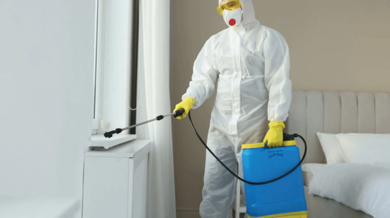 Common Pest Control Myths That Could Be Costing You Money and Peace of Mind