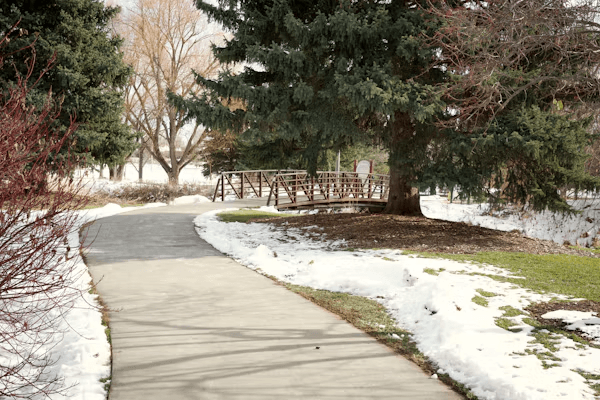 Snowy park path