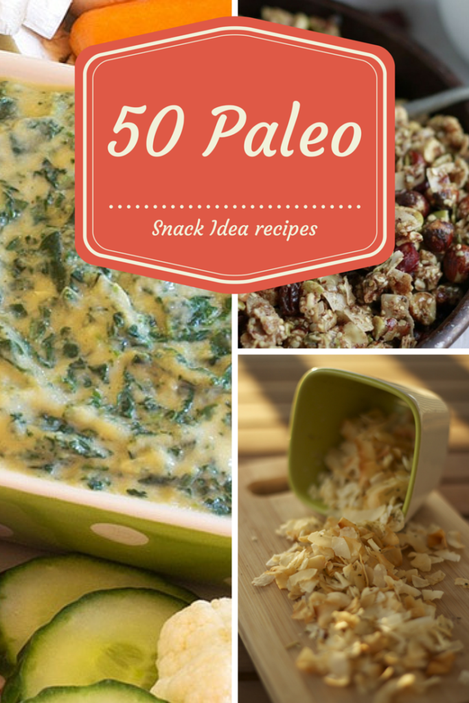 50 paleo snacks recipes