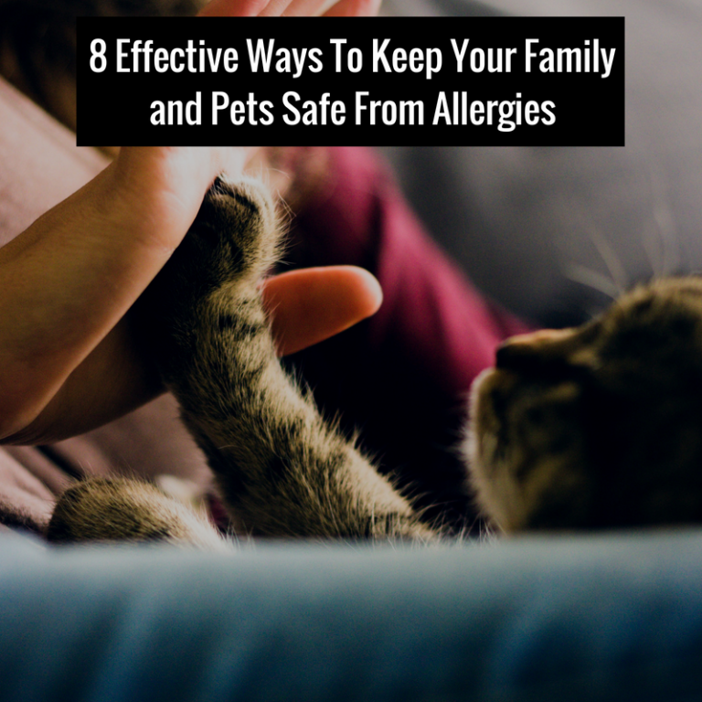 8 Effective Ways To Keep Your Family and Pets Safe From Allergies
