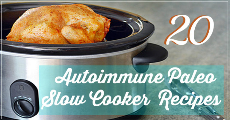 20 AIP Slow Cooker Recipes