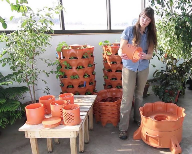 Use a Garden Tower to Grow your Vegetables