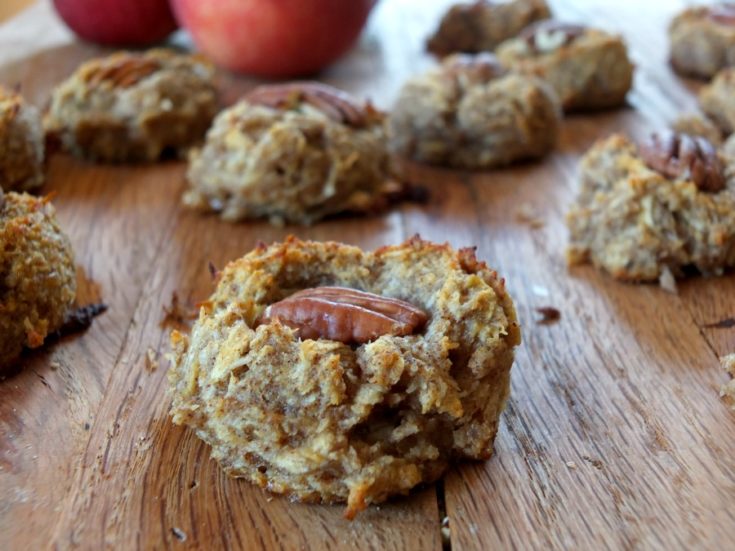 Sometimes you just don't have time to make an omelet and sausage in the morning. Or perhaps you've got the afternoon cravings and nothing's there except gluten-filled confections. Or maybe you're just tired of eggs. Avoid these situations with this delicious recipe for Apple Breakfast Cookies! These would be awesome in the morning paired with some jerky for extra protein. No more excuses to skip breakfast!