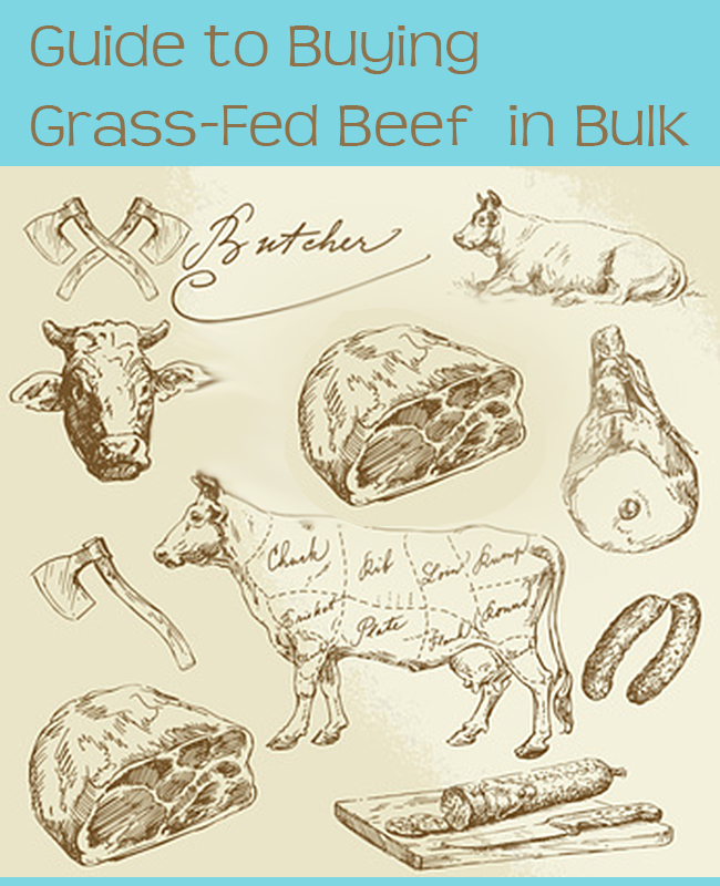 Guide to Buying Grass Fed Beef in Bulk