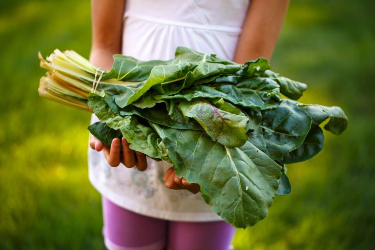 5 Ideas That’ll Trick Your Kids Into Eating Their Veggies