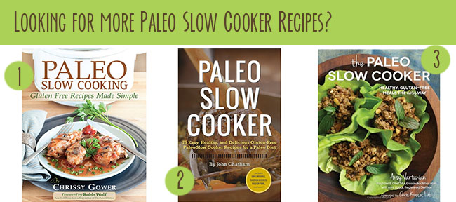paleo slow cooker recipes