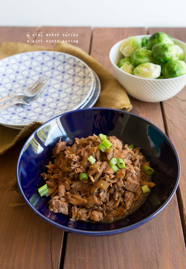 slow cooker shredded pork